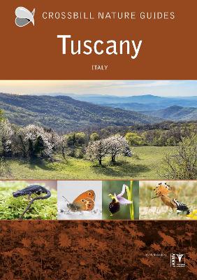 Tuscany: Italy - Chisholm, Graham