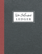 Two Column Ledger: 2 Column Accounting Ledger, Bookkeeping Ledger Record Book, Daily Accounting Journal Book, Accounting Journal Entry Book, Business Money Accounting Bookkeeping, Financial Planning for Beginners (Two Column Ledger Business Finance...