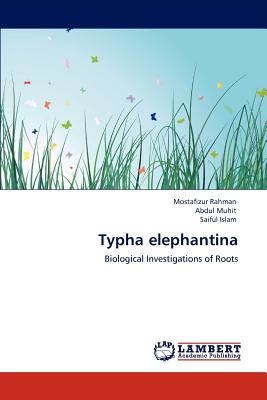 Typha elephantina - Rahman, Mostafizur, and Muhit, Abdul, and Islam, Saiful