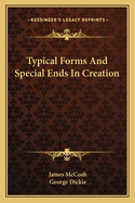 Typical Forms And Special Ends In Creation