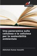 Una panoramica sulla cellulosa e la cellulosa per la sostenibilit? ambientale