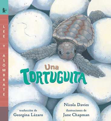 Una Tortuguita: Read and Wonder - Davies, Nicola, and Chapman, Jane (Illustrator)