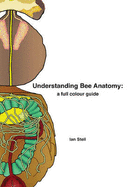 Understanding Bee Anatomy: A Full Colour Guide