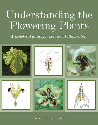 Understanding the Flowering Plants: A Practical Guide for Botanical Illustrators - Bebbington, Anne