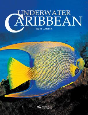 Underwater Caribbean - Amsler, Kurt