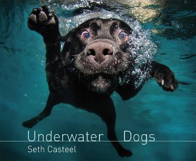Underwater Dogs - Casteel, Seth