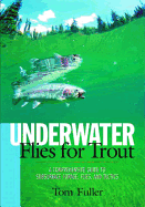 Underwater Flies for Trout: A Comprehensive Guide to Subsurface Forage, Flies, and Tactics