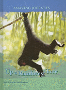 Up a Rainforest Tree
