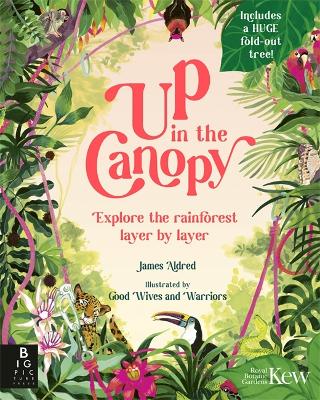 Up in the Canopy: Explore the Rainforest, Layer by Layer - Aldred, James