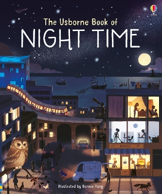 Usborne Book of Night Time - Cowan, Laura