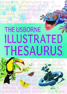 Usborne Illustrated English Dictionary and Thesaurus