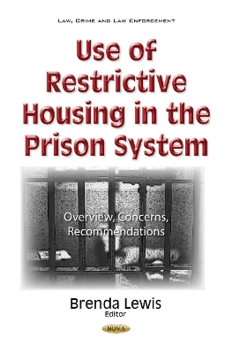 Use of Restrictive Housing in the Prison System: Overview, Concerns, Recommendations - Lewis, Brenda (Editor)