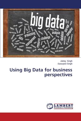 Using Big Data for business perspectives - Singh Jaiteg, and Singh Saravjeet