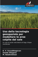 Uso della tecnologia geospaziale per modellare le aree colpite dal sale