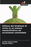 Utilizzo del biodiesel di ricino in un motore monocilindrico ad accensione comandata