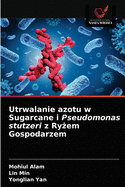 Utrwalanie azotu w Sugarcane i Pseudomonas stutzeri z Ry em Gospodarzem