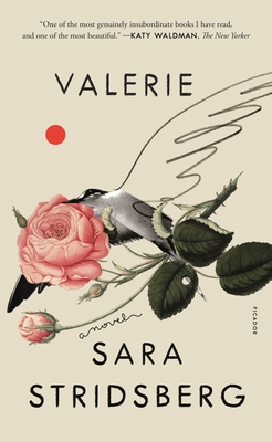 Valerie: Or, the Faculty of Dreams: A Novel - Stridsberg, Sara, and Bragan-Turner, Deborah (Translated by)