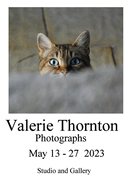 Valerie Thornton Exhibition