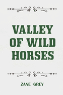 Valley Of Wild Horses