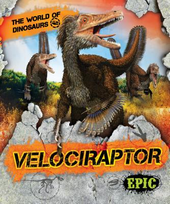 Velociraptor - Sabelko, Rebecca, and Kuether, James