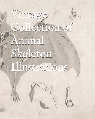 Vintage Collection of Animal Skeleton Illustrations - Warlen, Jeremy