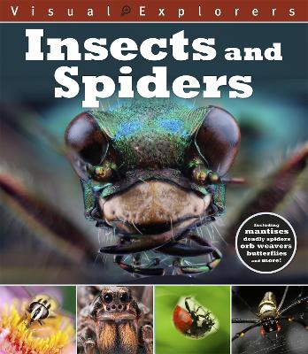Visual Explorers: Insects and Spiders - Calver, Paul, and Reynolds, Toby