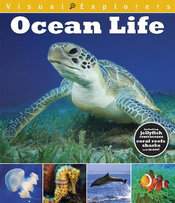 Visual Explorers: Ocean Life - Calver, Paul, and Reynolds, Toby