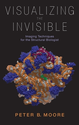 Visualizing the Invisible: Imaging Techniques for the Structural Biologist - Moore, Peter
