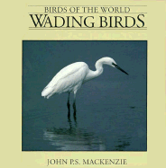 Wading Birds - MacKenzie, John P S