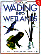 Wading Into Wetlands - National Wildlife Federation