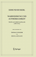 Wahrnehmung Und Aufmerksamkeit: Texte Aus Dem Nachlass (1893-1912)