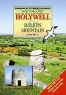 Walking Around Holywell and Halkyn Mountain - Berry, David