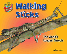Walking Sticks: The World's Longest Insects