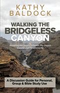 Walking the Bridgeless Canyon: Repairing the breach between the Church and the LGBT community: A Discussion Guide for Personal, Group & Bible Study Use