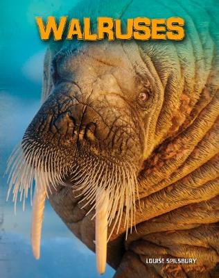 Walruses - Spilsbury, Louise