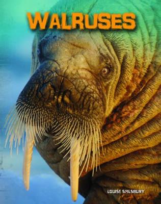 Walruses - Spilsbury, Louise