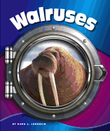 Walruses