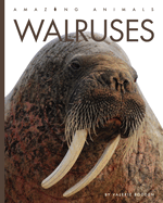 Walruses - Bodden, Valerie