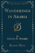 Wanderings in Arabia, Vol. 1 of 2 (Classic Reprint)