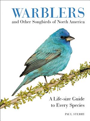 Warblers and Other Songbirds of North America: A Life-Size Guide to Every Species - Sterry, Paul