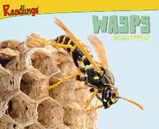 Wasps