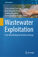 Wastewater Exploitation: From Microbiological Activity to Energy