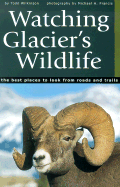 Watching Glacier's Wildlife