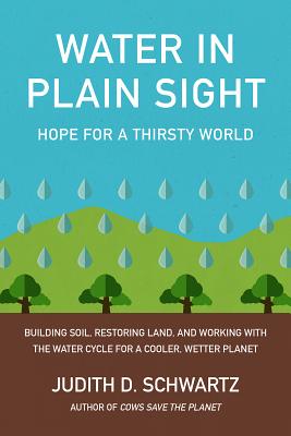 Water in Plain Sight: Hope for a Thirsty World - Schwartz, Judith D