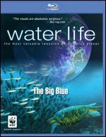 Water Life: The Big Blue [2 Discs] [Includes Digital Copy] [Blu-ray/DVD]