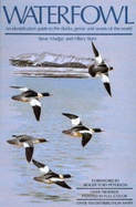 Waterfowl: An Identification Guide to the Ducks, Geese, and Swans of the World