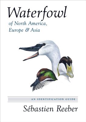 Waterfowl of North America, Europe, and Asia: An Identification Guide - Reeber, Sbastien