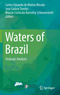 Waters of Brazil: Strategic Analysis