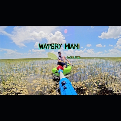 Watery Miami - Katel, Jacob