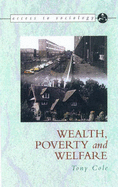 Wealth, Income and Welfare